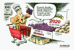 TRUMP AND 2020 ELECTION by Jimmy Margulies