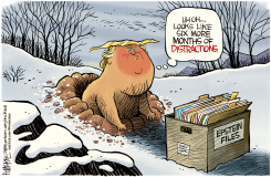 GROUNDHOG TRUMP SEES EPSTEIN SHADOW by Rick McKee
