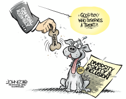 NC UNC SYSTEM EAGER TO ENACT GOP'S DEI GUIDELINES by John Cole