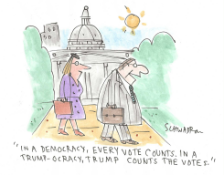 COUNTING VOTES by Harley Schwadron