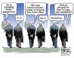 WILL CONGRESS REMOVE A DANGEROUS PRESIDENT by Jonathan Brown