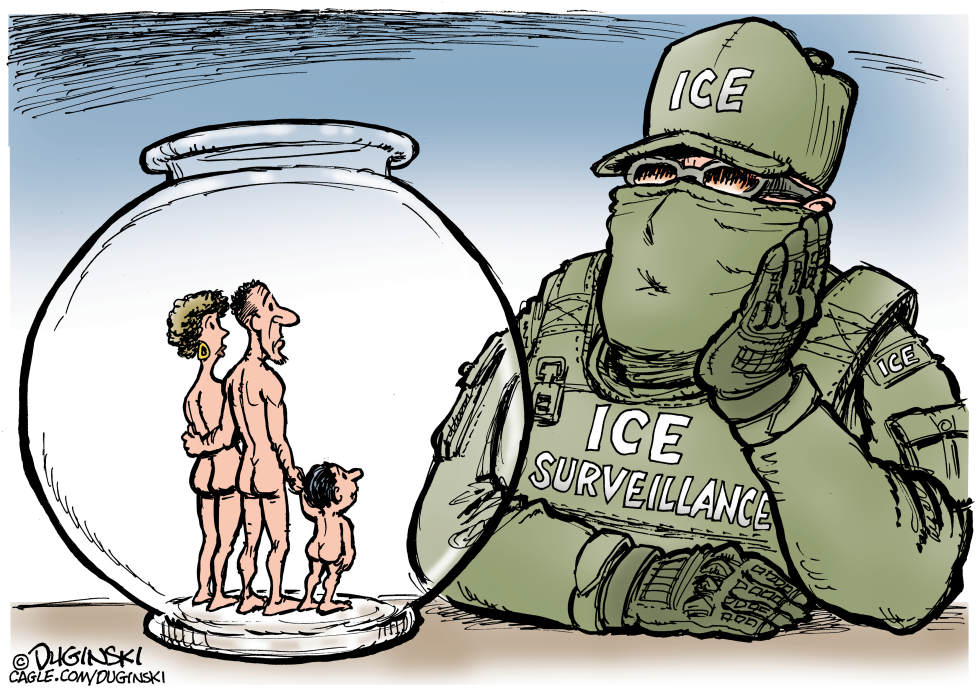 Families in the surveillance fishbowl