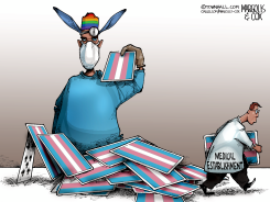 THE TRANSGENDER HOUSE OF CARDS IS FALLING by Margolis & Cox