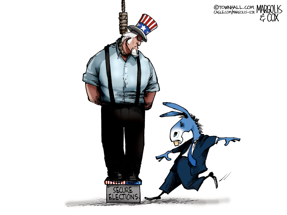 Democrats Don't Want Secure Elections