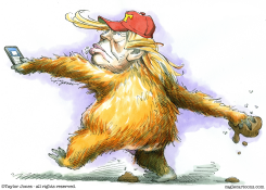 TRUMP APE  by Taylor Jones
