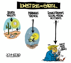 HOW LOW DOES TRUMP GO by John Cole