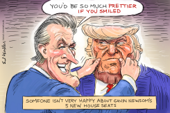 NEWSOM TRUMP PRETTIER IF YOU SMILE by Ed Wexler