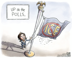 NY STATE ICE LEGISLATION by Adam Zyglis