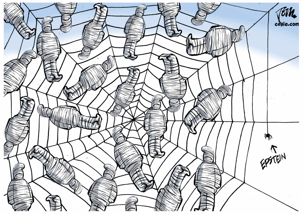 Epstein little spider