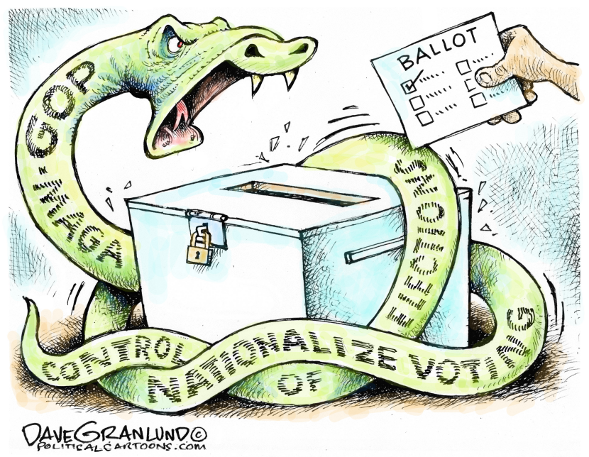 Control of US elections