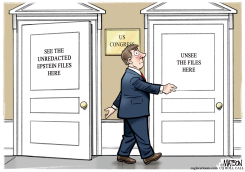 CONGRESSMAN WANTS TO UNSEE THE EPSTEIN FILES by R.J. Matson