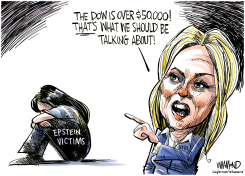 PAM BONDI TESTIMONY MELTDOWN by Dave Whamond