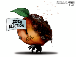 FULTON COUNTY ELECTION FRAUD by Margolis & Cox