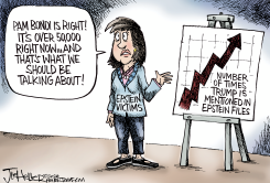PAM BONDI  by Joe Heller