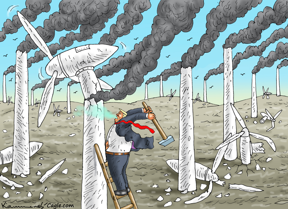 TRUMP LOVES HEALTHY COAL