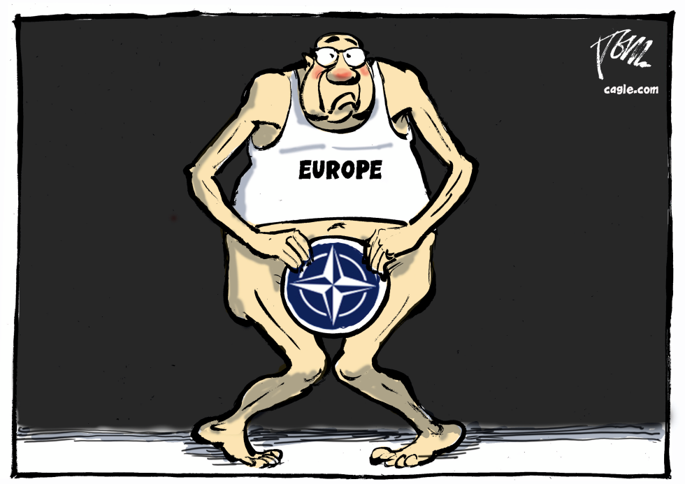 Europe with little NATO shield