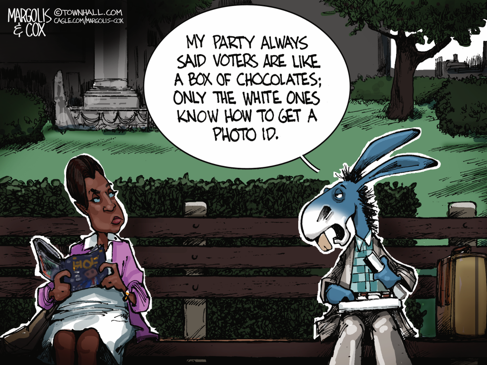 Racist Democrats on Voter ID
