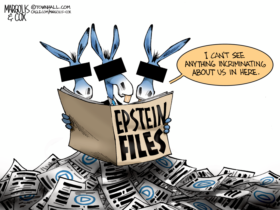 Epstein Files Backfires on Democrats
