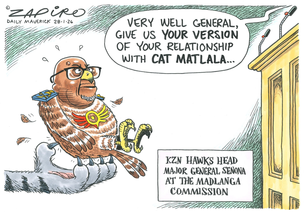 Cat Matlala