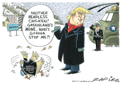 HEADLESS CHICKEN by Zapiro
