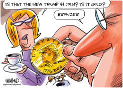 NEW TRUMP COIN by Dave Whamond