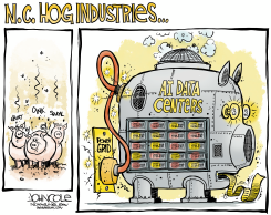 NC DATA-CENTER BOOM IS AN ENERGY HOG by John Cole