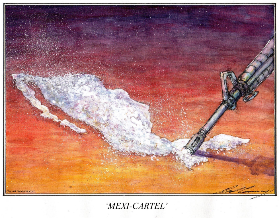 Assault rifle lines out Mexico shaped cocaine.