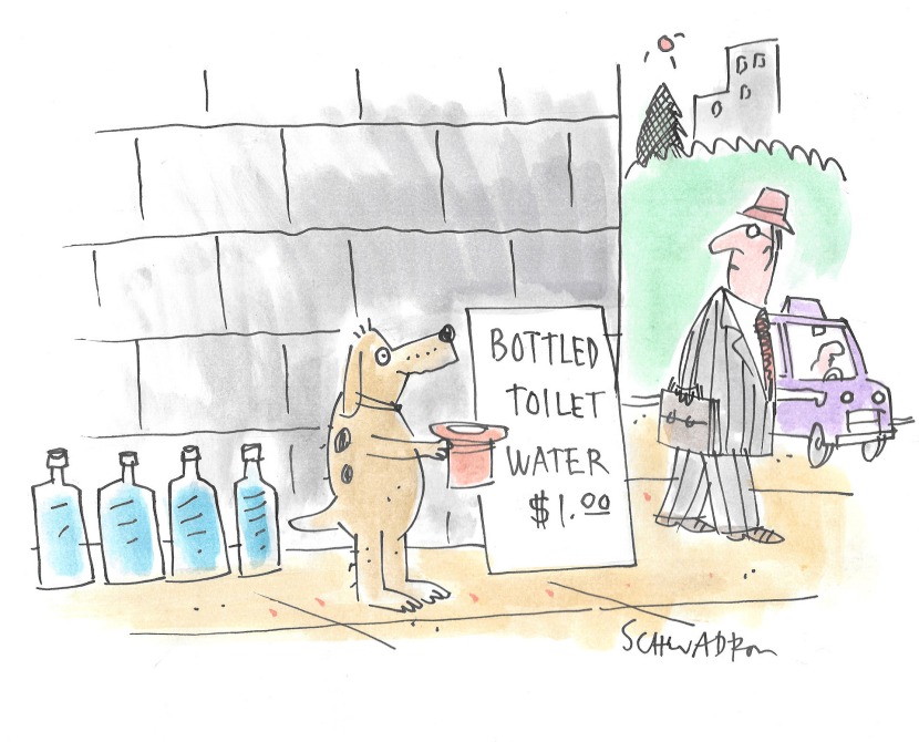 Dog Beggar