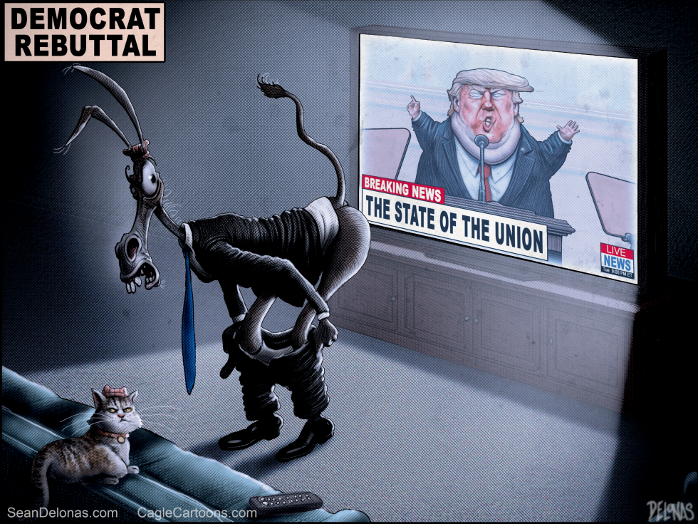 Democrat Rebuttal to Trump's