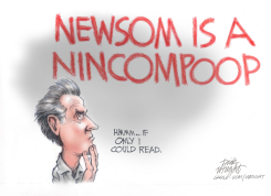 NEWSOM CAN'T READ by Dick Wright