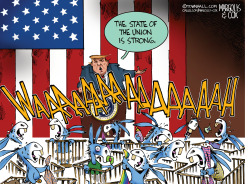 THE STATE OF THE UNION by Margolis & Cox