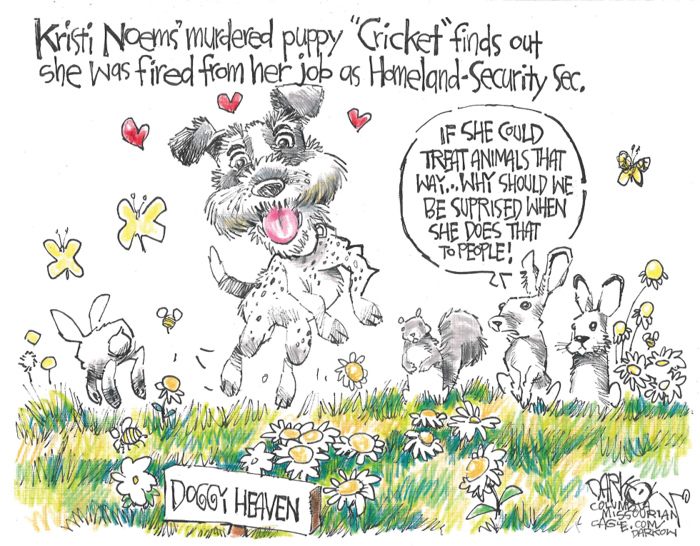 Kristi Noem's dog celebrates