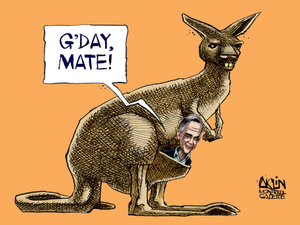 Mate