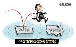 SHAPIRO'S WHITE HOUSE AMBITIONS by John Cole