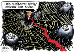 TRUMP HOPES MIDTERM RIGGING WILL KILL PROBLEMS by Jonathan Brown
