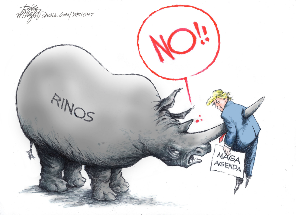 Rinos Slowing Trump Down