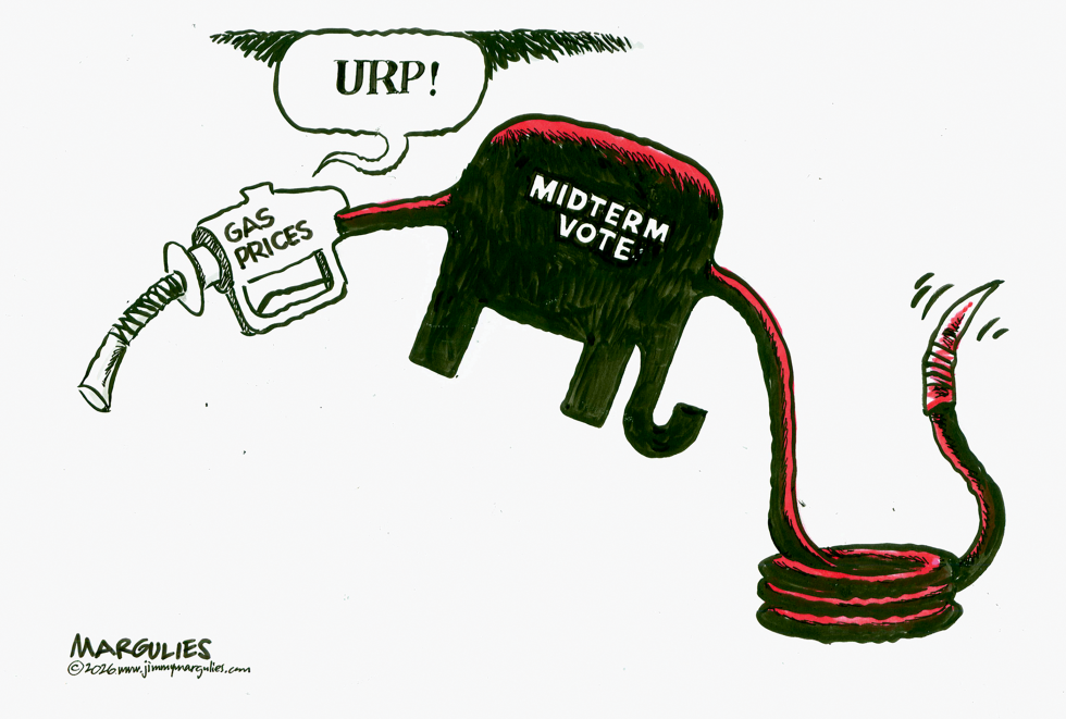 Gas prices and Midterm vote