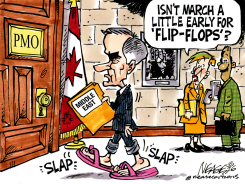 FLIP FLOPS by Steve Nease