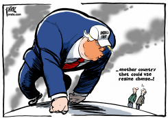 TRUMP AND REGIME CHANGE by Tom Janssen