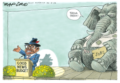 GOOD NEWS BUDGET by Zapiro