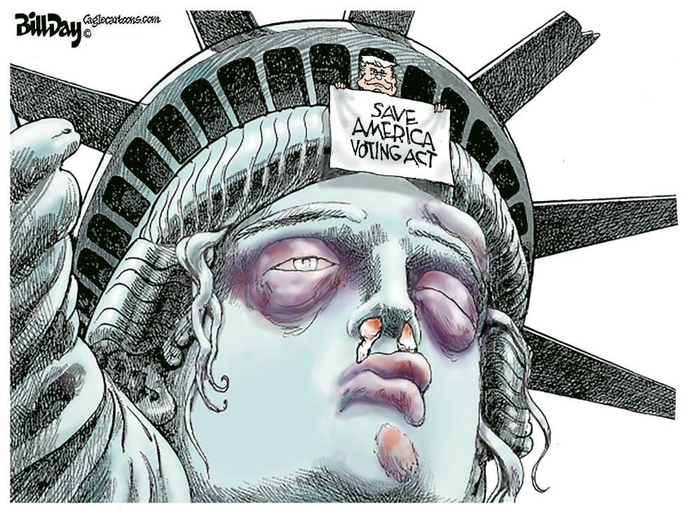 Don't Save America's Votin Act
