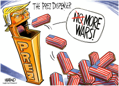 IRAN WAR CASUALTIES  by Dave Whamond
