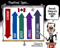 SPIN by Steve Nease