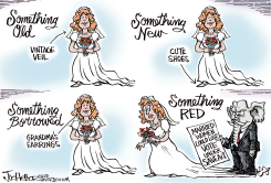 SAVE ACT by Joe Heller