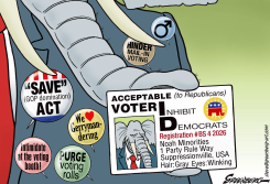 SAVE ACT AND OTHER GOP VOTER SUPPRESSION by Steve Greenberg