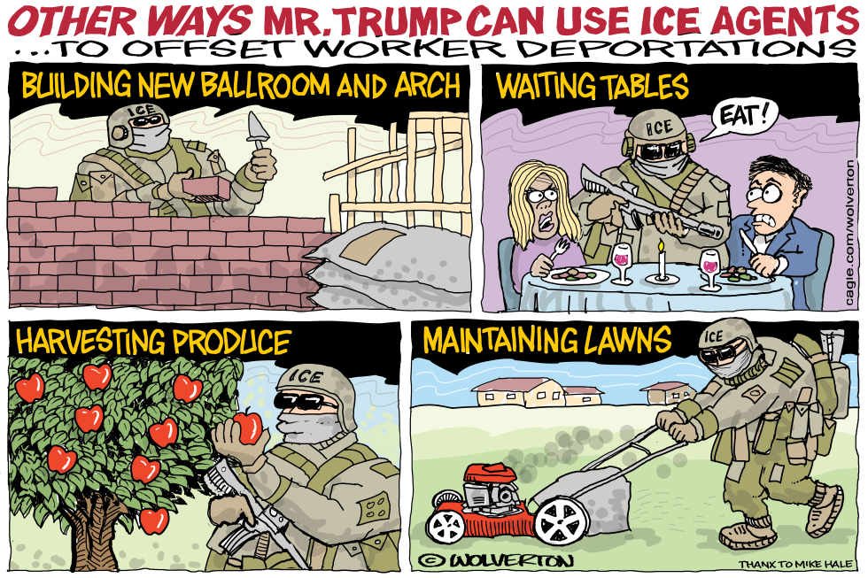 Other Uses for ICE Agents