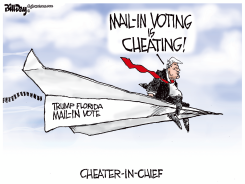 TRUMP MAIL-IN FLORIDA VOTE by Bill Day