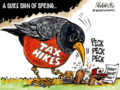 SPRING by Steve Nease
