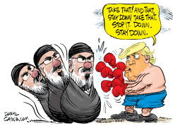 TRUMP BOXES THE IRAN BOP BAG SUPREME LEADER WHO WILL NOT TO STAY DOWN by Daryl Cagle