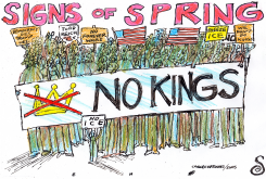 PEOPLE AT NO KINGS RALLY by Randall Enos